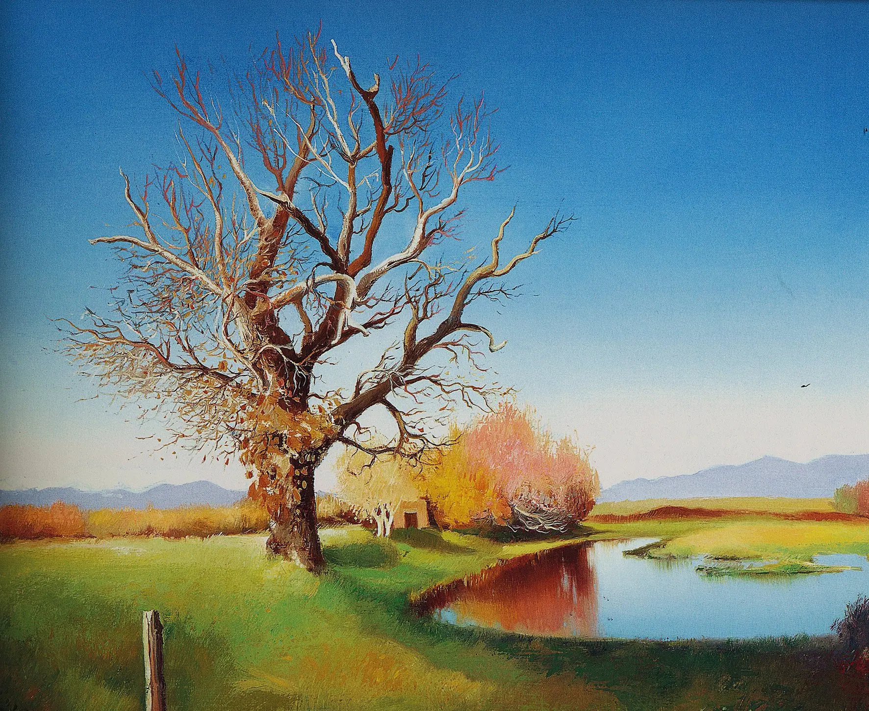Obra de Lluís Roura