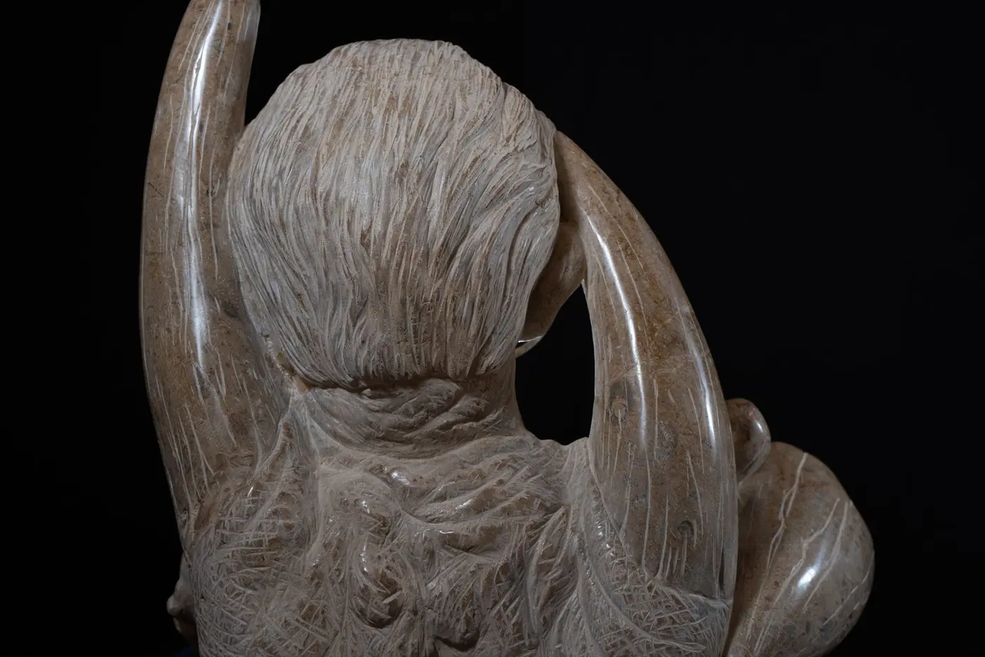 Detalles: Los cuernos de rinoceronte