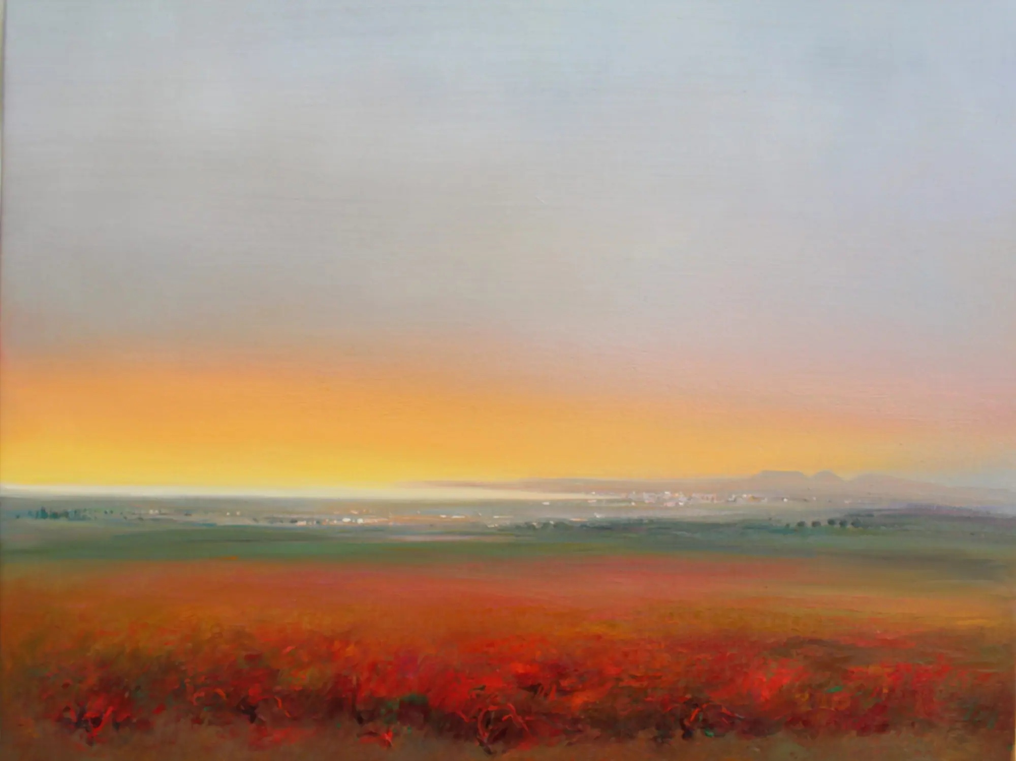 Obra de Lluís Roura